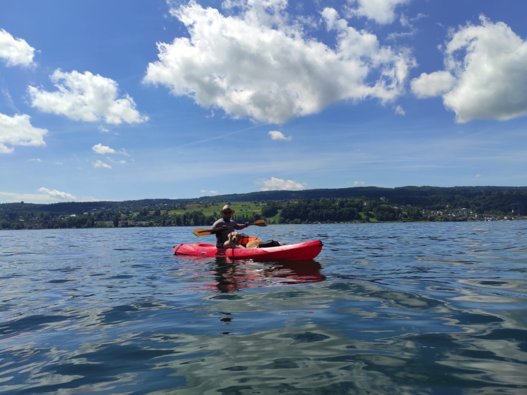 Mitarbeitender paddelt im Kanu auf dem Bodensee.